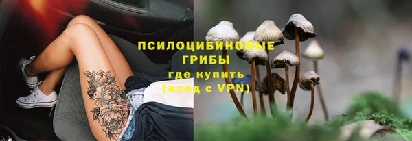героин Алзамай