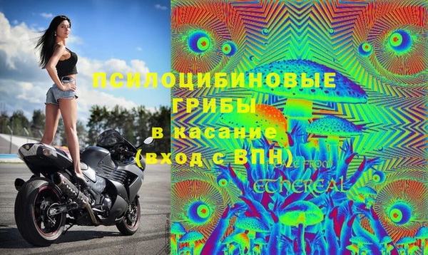 дурь Алексин