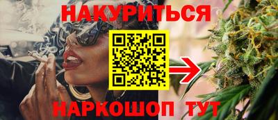 прущие грибы Заводоуковск