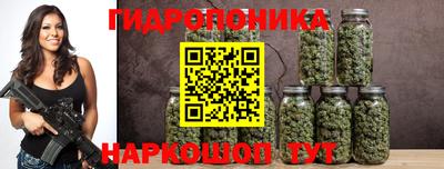 прущие грибы Заводоуковск