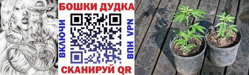 Каннабис планчик Южноуральск